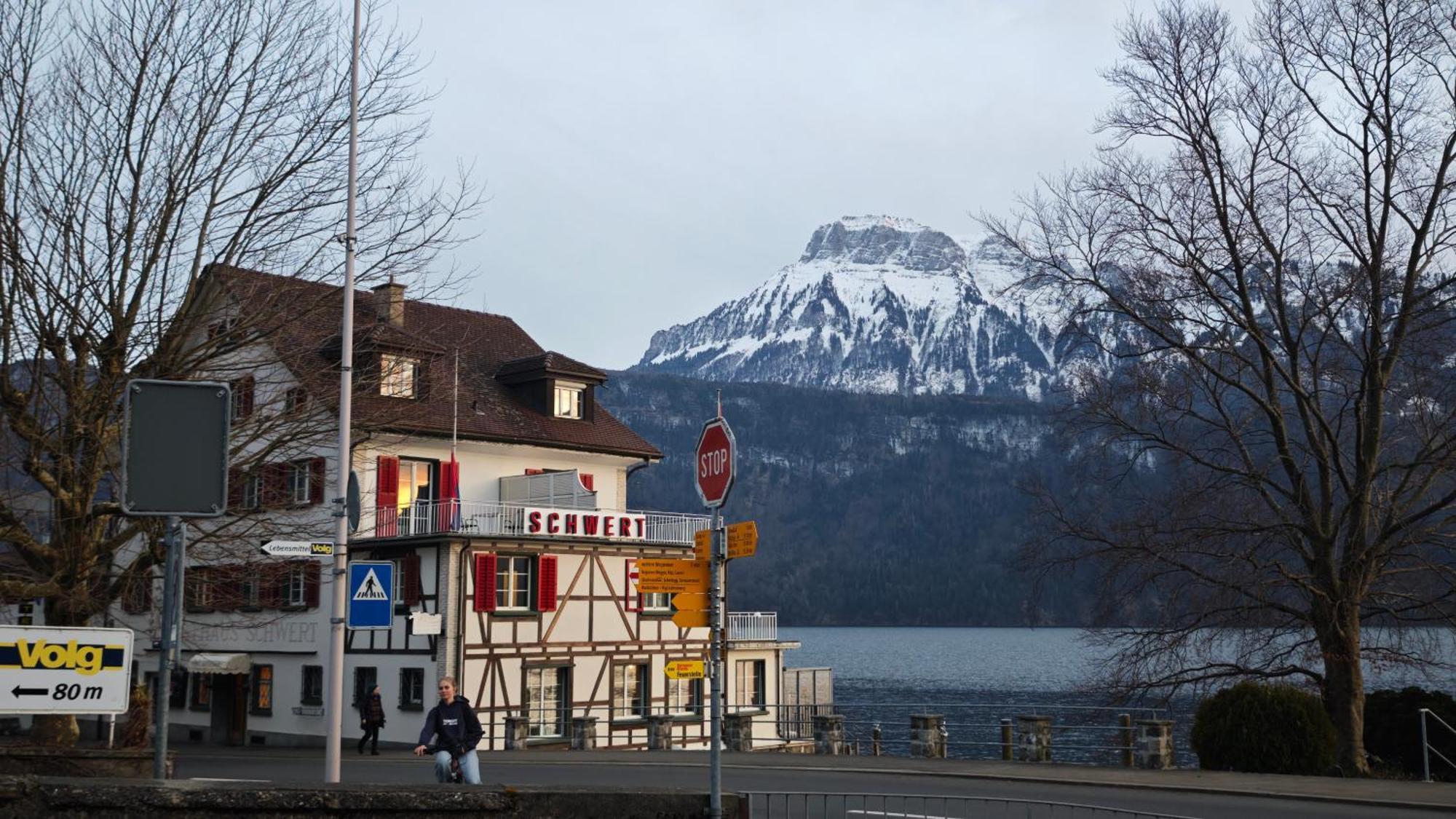Seehotel Schwert Герсау Экстерьер фото