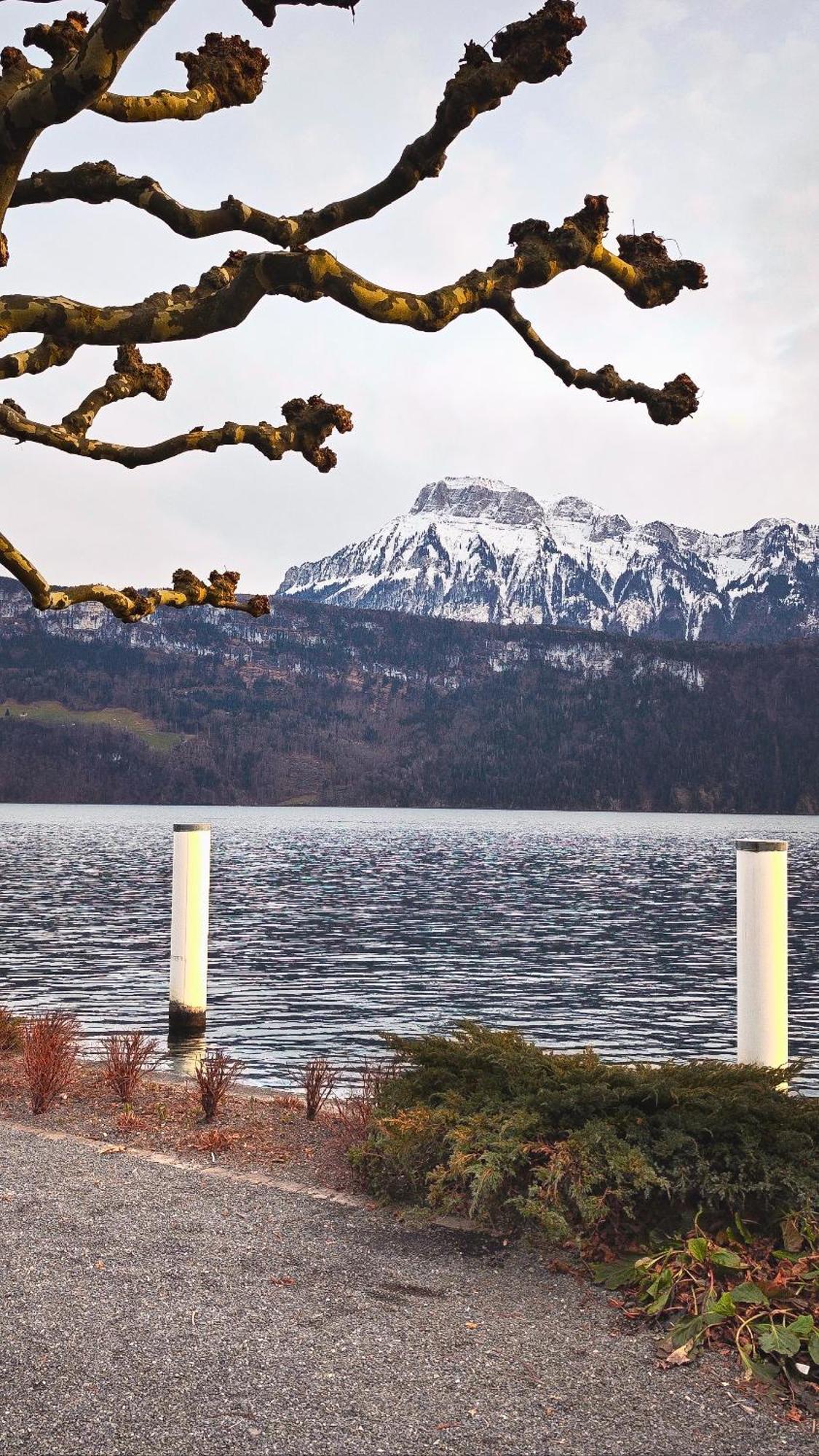 Seehotel Schwert Герсау Экстерьер фото