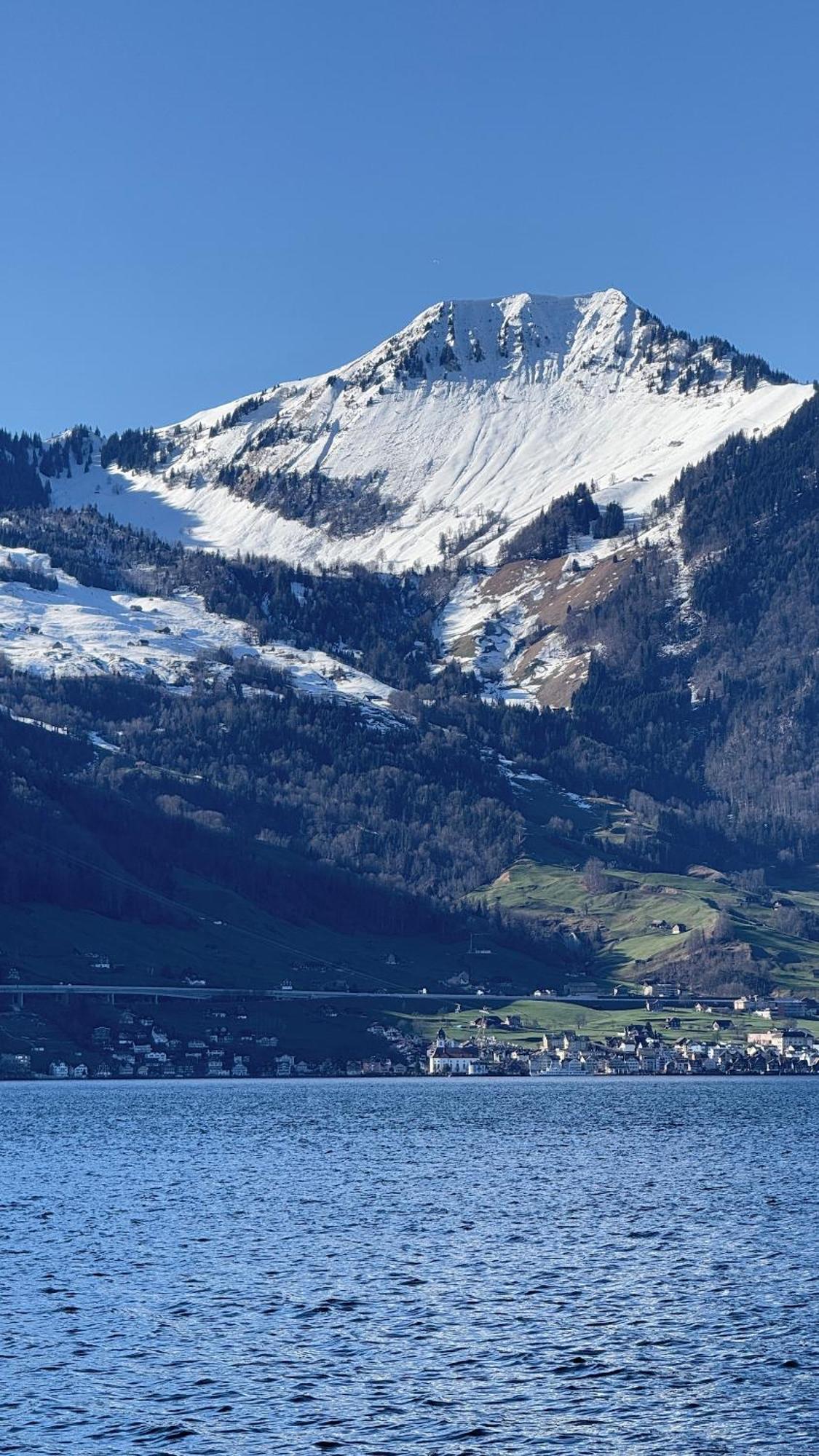 Seehotel Schwert Герсау Экстерьер фото